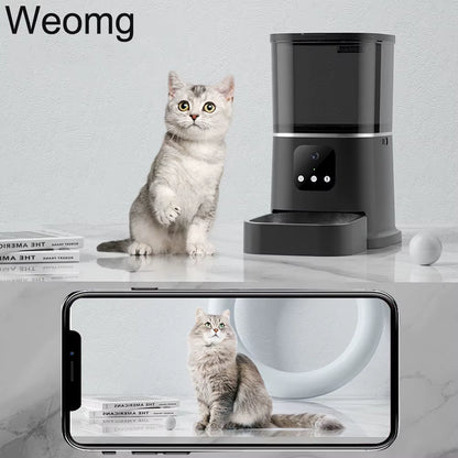 3L 6L Video Camera Feeder Timing Smart Automatic Pet Feeder for Cats Dog Wifi Intelligent Dry Food Dispenser Voice Recorde Bowl